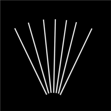Reed Diffuser Fibre Sticks